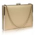 AGC00343 - Gold Hard Case Evening Bag