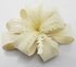LSH00179-  Ivory Feather & Flower Fascinator
