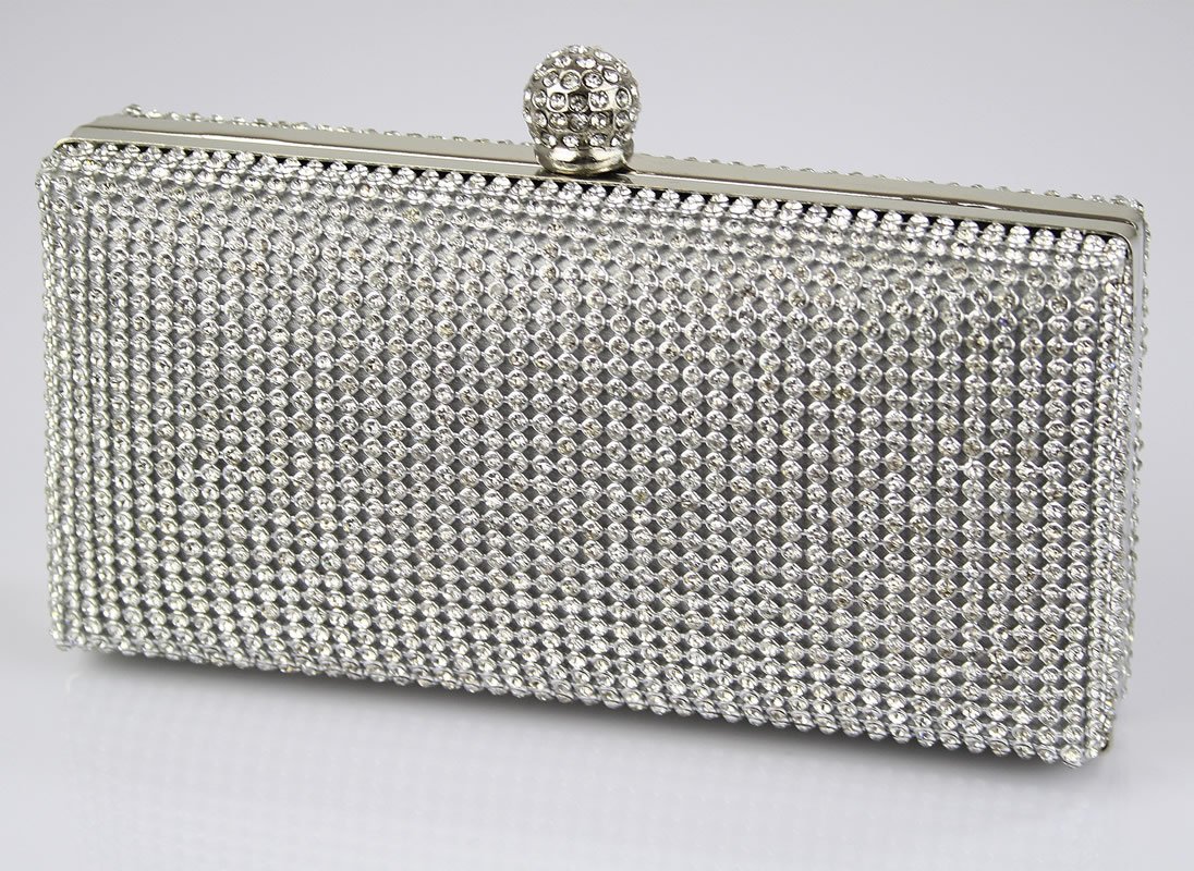 sparkly clutch