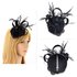 AGF00209 - Black Mesh Hat Feather Fascinator