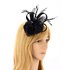 AGF00209 - Black Mesh Hat Feather Fascinator