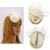 AGF00212 - Ivory Feather & Flower Mesh Hat Fascinator