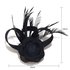 AGF00214 - Black Feather & Flower Fascinator