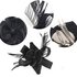 AGF00215 - Black Feather & Flower Hair Fascinator