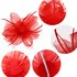 AGF00217 - Red Feather & Mesh Hair Fascinator