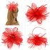 AGF00217 - Red Feather & Mesh Hair Fascinator