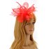 AGF00217 - Red Feather & Mesh Hair Fascinator