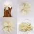 AGF00222 - Ivory Feather & Flower Hat Mesh Fascinator