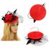 AGF00219 - Black / Red Mesh Hat Feather Fascinator