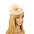 anna grace Feather and Flower Fascinator