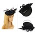 AGF00224 - Black Feather Hair Fascinator