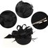 AGF00224 - Black Feather Hair Fascinator