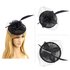AGF00234 - Black Feather & Flower Mesh Hat Fascinator