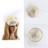 AGF00234 - Ivory Feather & Flower Mesh Hat Fascinator