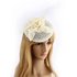 AGF00234 - Ivory Feather & Flower Mesh Hat Fascinator