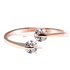 AGR0035 - Gold Crystal Adjustable Fashion Ring