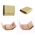 AGP1086 - Gold Flap Purse/Wallet With Gold Metal Work