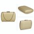 AGC00358 - Gold Hard Case Evening Clutch Bag