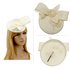 AGF00238 - Ivory Flower Mesh Hat Fascinator