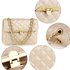 AG00668 - Champagne Handbags With Gold Metal Work