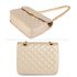 AG00668 - Champagne Cross Body Bag With Gold Metal Work