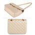 AG00668 - Champagne Handbags With Gold Metal Work