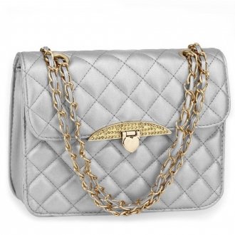 AG00668 - Silver Cross Body Bag With Gold Metal Work