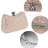 AGC00360A - Champagne Hard Case Diamante Crystal Clutch Bag
