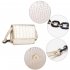 AG00772MINI - Champagne Flap Cross Body Snake Print Wholesale Shoulder Bag