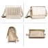AG00772MINI - Champagne Flap Cross Body Snake Print Wholesale Shoulder Bag