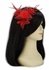 LSH00148 - Red Feather & Mesh Flower Fascinator on Clip