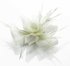 LSH00148 - Ivory Feather & Mesh Flower Fascinator on Clip