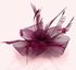 LSH00148 - Fuchsia Feather & Mesh Flower Fascinator on Clip
