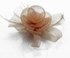 LSH00154- Nude Feather & Mesh Flower Fascinator on Clip