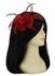 LSH00130 - Red Feather and Mesh Flower Fascinator