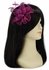 LSH00143 - Purple Feather and Mesh Flower Fascinator