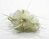 LSH00107 - Ivory Feather & Flower Fascinator on Comb