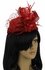 LSH00106 - Red Mesh Hat Feather Fascinator