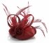 LSH00139 - Fuchsia Feather & Mesh Flower Fascinator on Clip