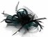 LSH00108 - Teal / Black Feather and Mesh Flower Fascinator