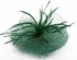 LSH00118 - Green Mesh Hat Feather Fascinator