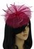 LSH00118 - Fuchsia Mesh Hat Feather Fascinator