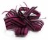 LSH00109- Purple / Black Feather & Flower Fascinator