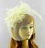 LSH00195 - Ivory Mesh Hat Feather Fascinator