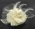 LSH00165 - Ivory Feather & Flower Fascinator