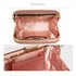 LSE00256 - Champagne Glitter Clutch Bag