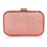LSE00256 - Champagne Glitter Clutch Bag
