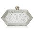 LSE00285 - Silver  Rhinestone Studded Hard Box Bridal clutch bag
