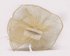 LSH00205 - Ivory Flower & Feather Fascinator on Comb